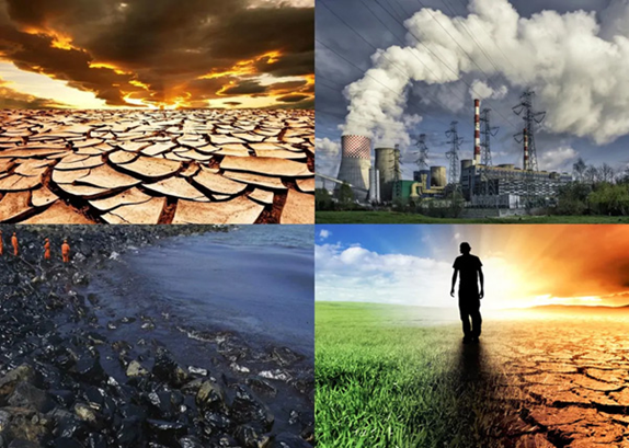 Ngày môi trường thế giới 2026, chung tay hành động vì một hành tinh xanh và phát triển bền vững