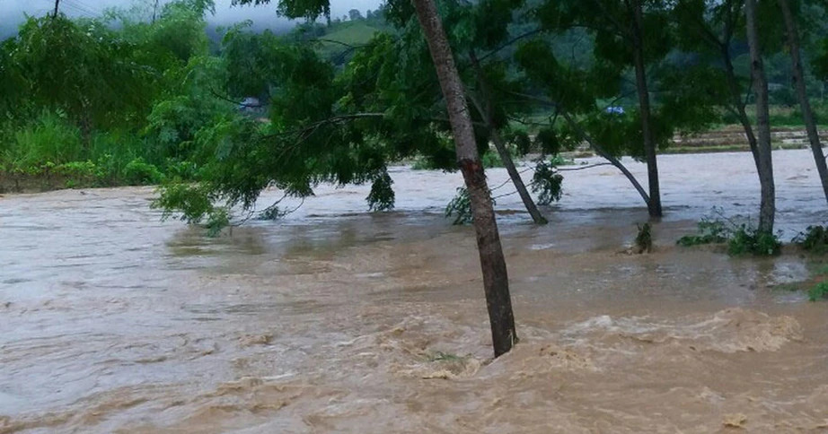 Đang tải...